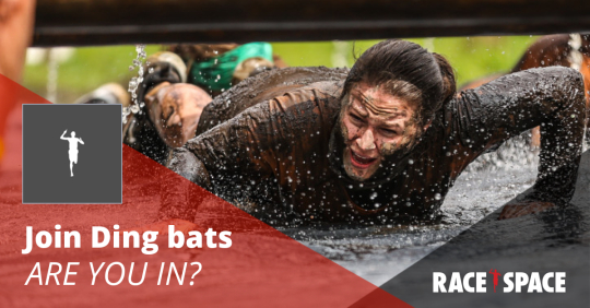 Ding bats | Race Space